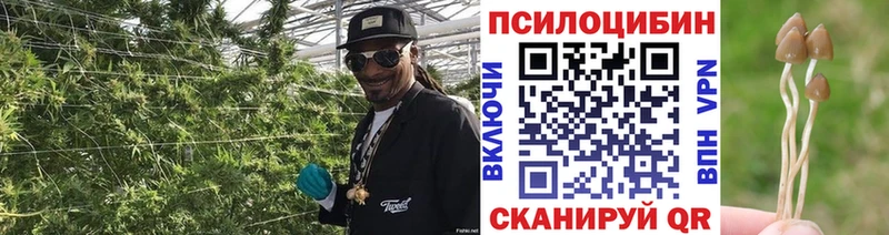 Псилоцибиновые грибы GOLDEN TEACHER  даркнет сайт  Мостовской 